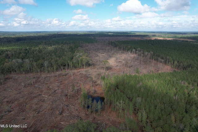 Holly Bush Rd, Pelahatchie, MS 39145