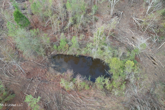 Holly Bush Rd, Pelahatchie, MS 39145