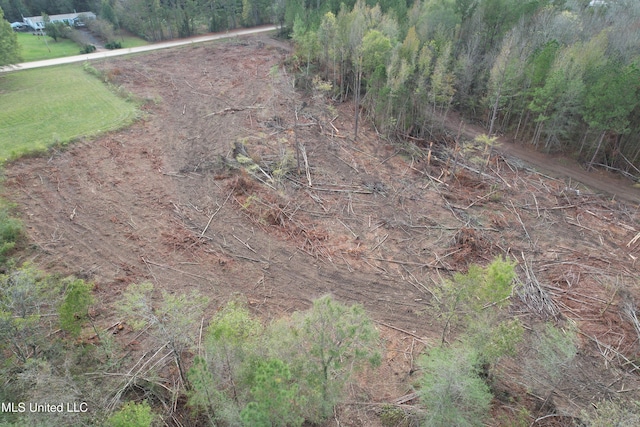 Holly Bush Rd, Pelahatchie, MS 39145