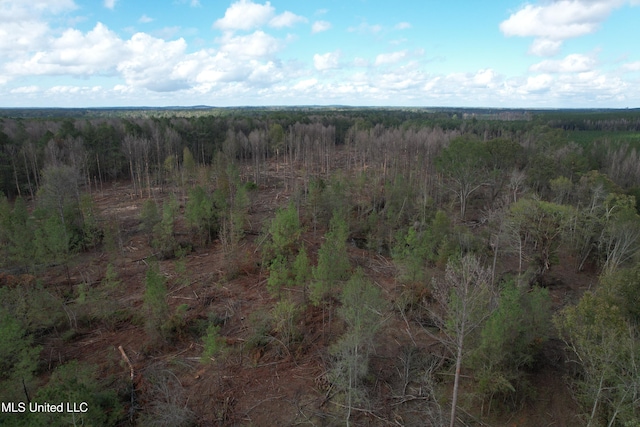 Holly Bush Rd, Pelahatchie, MS 39145