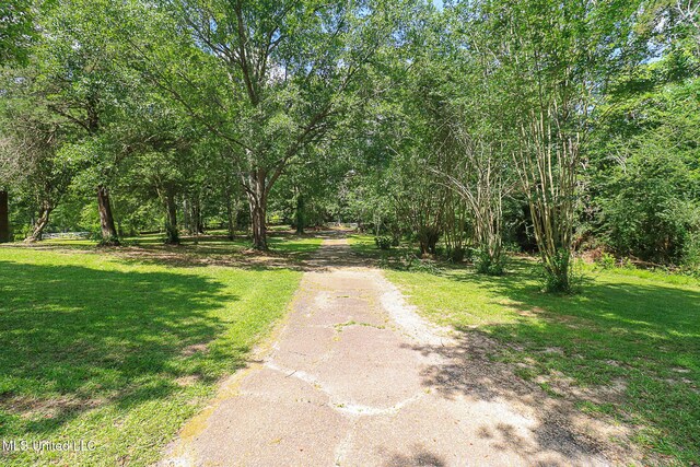 2548 Furrs Mill Dr, Wesson, MS 39191 - view of road
