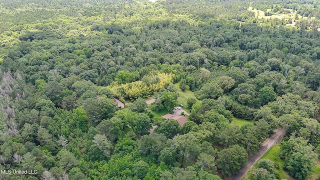 2548 Furrs Mill Dr, Wesson, MS 39191 - aerial view of a forest
