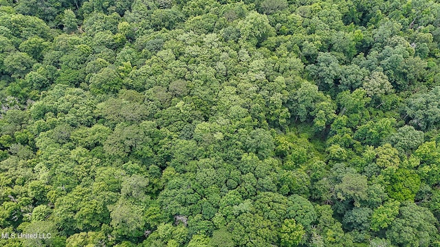 2548 Furrs Mill Dr, Wesson, MS 39191 - aerial overview of property's location with a forest