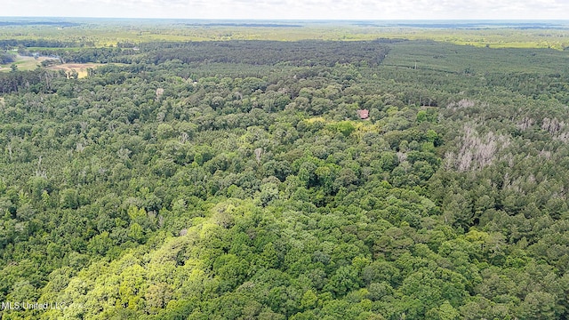 2548 Furrs Mill Dr, Wesson, MS 39191 - drone / aerial view of a forest
