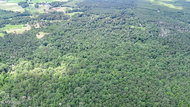 2548 Furrs Mill Dr, Wesson, MS 39191 - aerial view of property's location featuring a forest