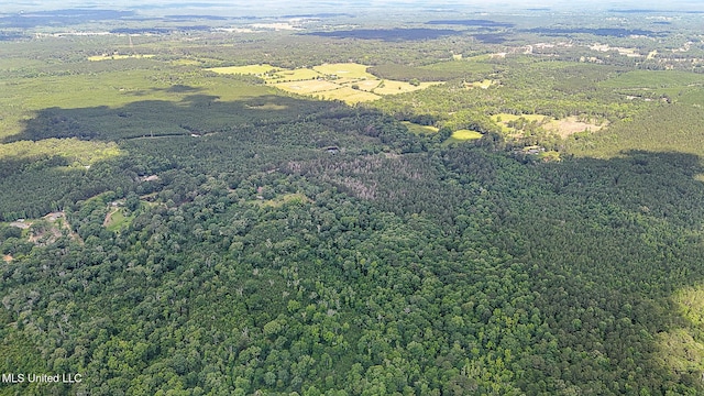2548 Furrs Mill Dr, Wesson, MS 39191 - drone / aerial view of a forest