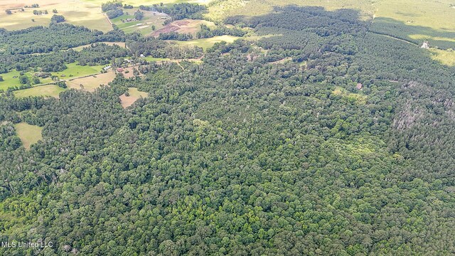 2548 Furrs Mill Dr, Wesson, MS 39191 - view of property location with a heavily wooded area