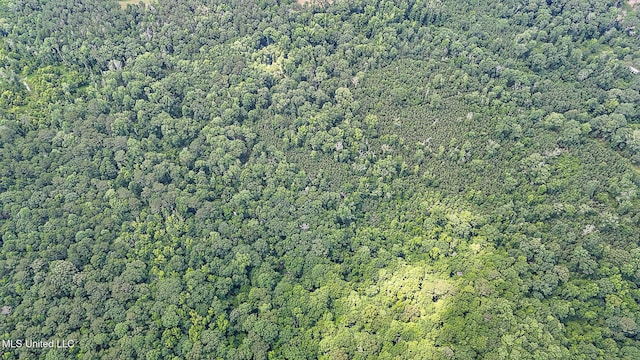 2548 Furrs Mill Dr, Wesson, MS 39191 - aerial view of property's location featuring a forest