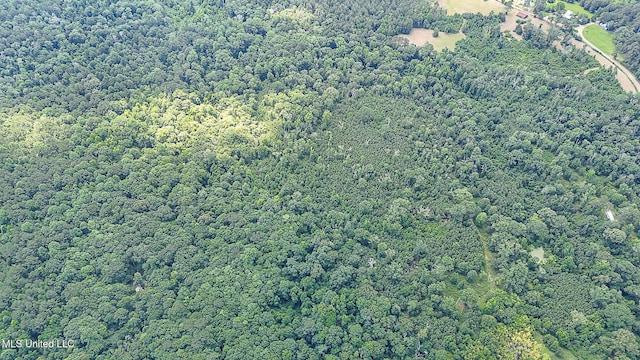 2548 Furrs Mill Dr, Wesson, MS 39191 - aerial overview of property's location featuring a forest