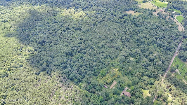 2548 Furrs Mill Dr, Wesson, MS 39191 - aerial view of a heavily wooded area
