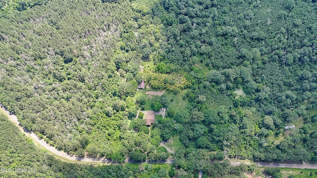 2548 Furrs Mill Dr, Wesson, MS 39191 - aerial overview of property's location with a forest