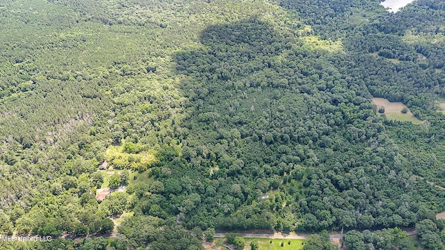 2548 Furrs Mill Dr, Wesson, MS 39191 - aerial view of a forest