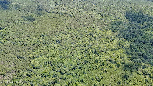2548 Furrs Mill Dr, Wesson, MS 39191 - drone / aerial view of a heavily wooded area