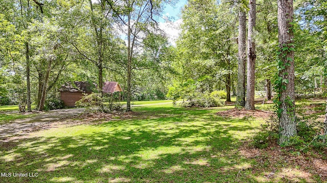 2548 Furrs Mill Dr, Wesson, MS 39191 - view of green lawn