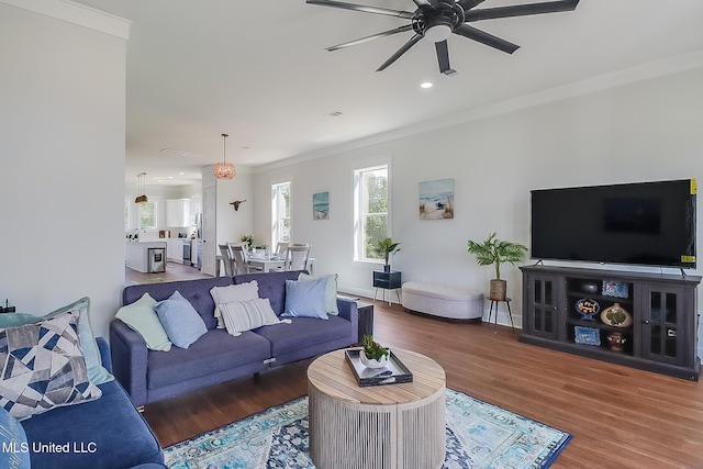 living room with hardwood / wood-style flooring, ceiling fan, and ornamental molding