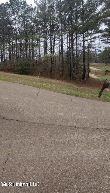 0 Edward Owens Dr, Terry, MS 39170