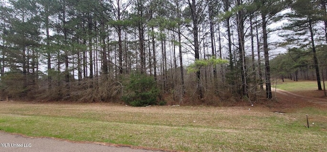 0 Edward Owens Dr, Terry, MS 39170