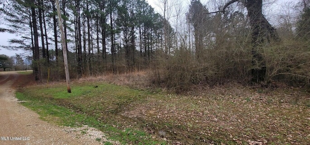 0 Edward Owens Dr, Terry, MS 39170