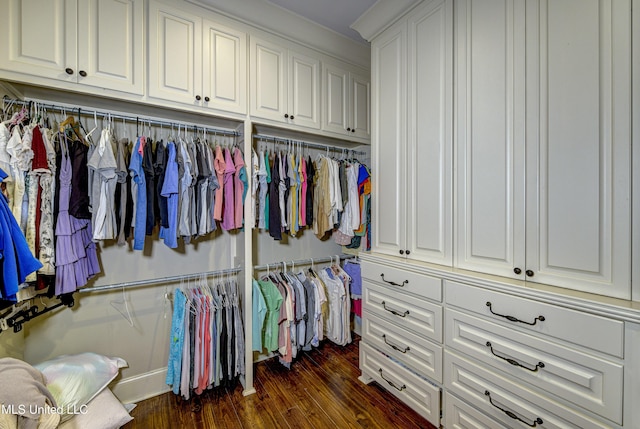 walk in closet featuring dark hardwood / wood-style floors