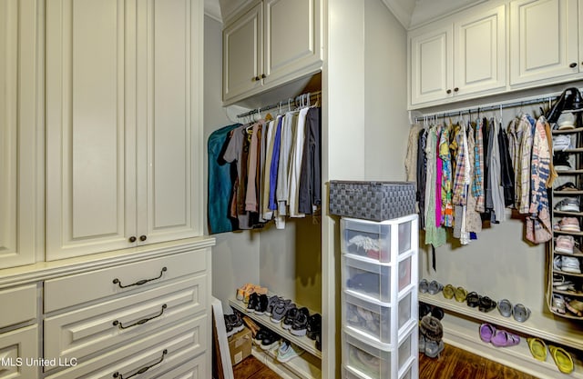 spacious closet with dark hardwood / wood-style floors