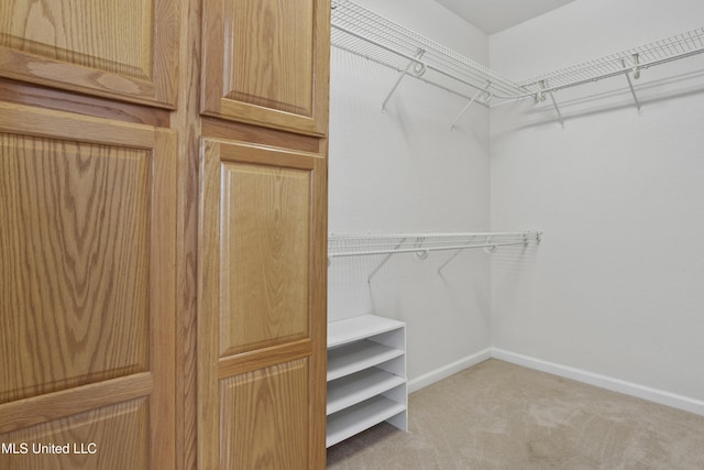 spacious closet with light colored carpet