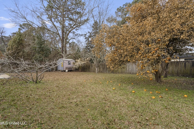 view of yard with a shed