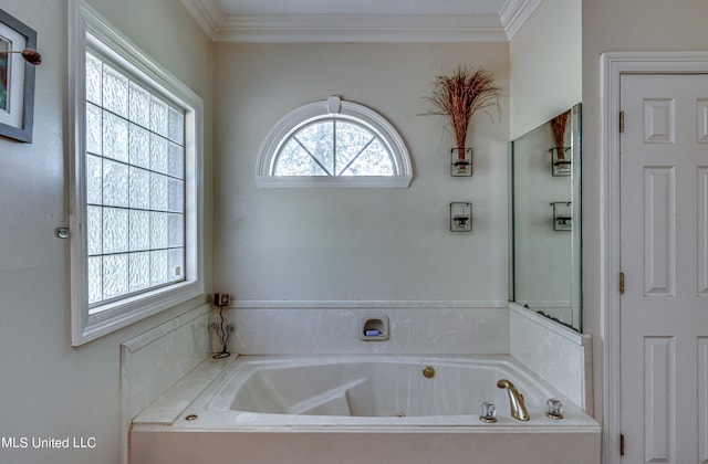 bathroom featuring a jetted tub and crown molding