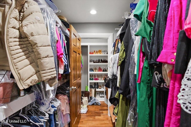 spacious closet with hardwood / wood-style floors