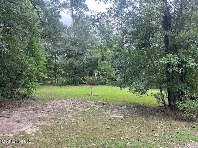 Listing photo 3 for Courthouse Rd, Gulfport MS 39507