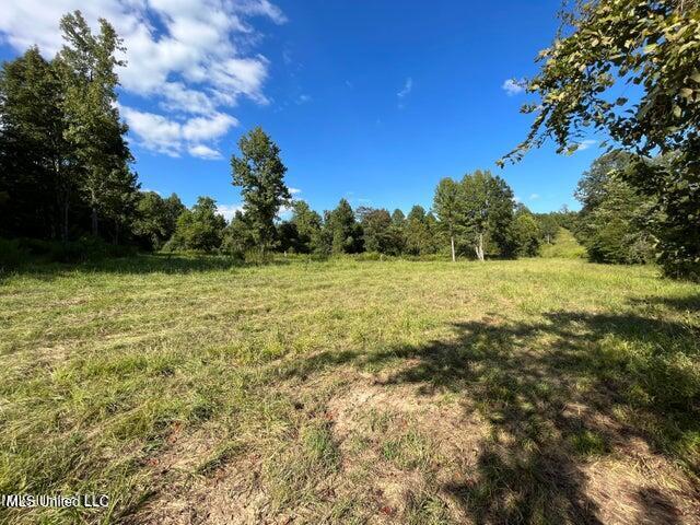 0 Judkins Rd, Yazoo City, MS 39194