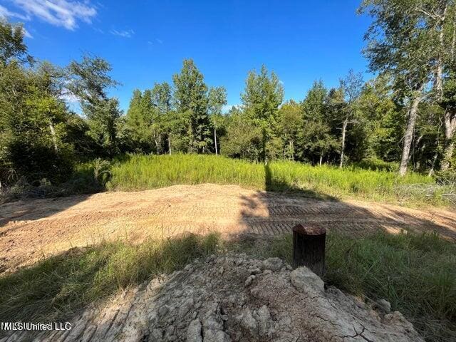 0 Judkins Rd, Yazoo City, MS 39194