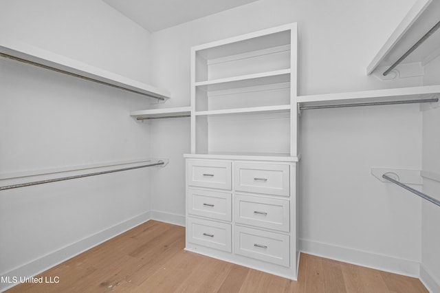 spacious closet with light wood-type flooring