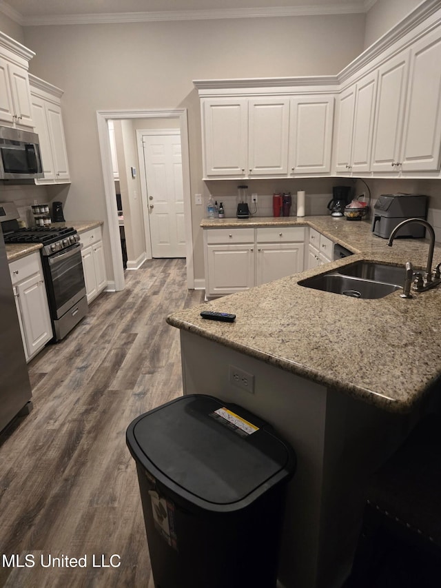 109 Brunswick Cv, Canton, MS 39046 - kitchen featuring appliances with stainless steel finishes, a sink, crown molding, white cabinetry, and dark wood-type flooring