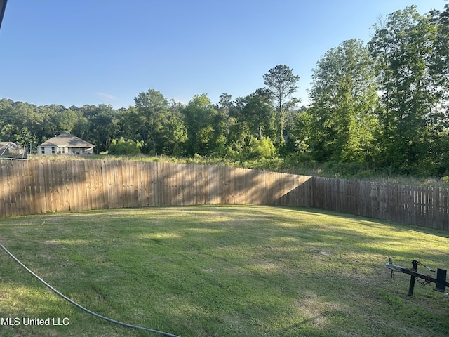 109 Brunswick Cv, Canton, MS 39046 - view of yard