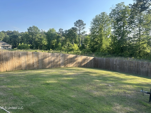 109 Brunswick Cv, Canton, MS 39046 - view of yard