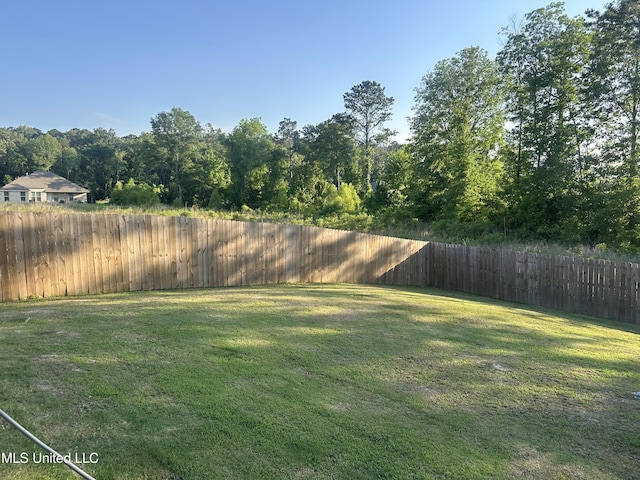 109 Brunswick Cv, Canton, MS 39046 - view of yard