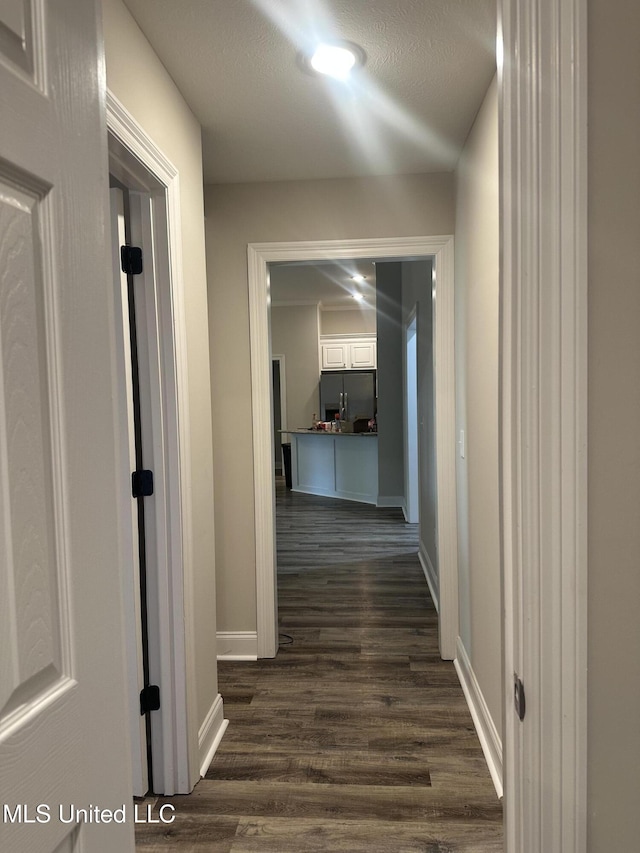 109 Brunswick Cv, Canton, MS 39046 - hallway with dark wood finished floors and baseboards