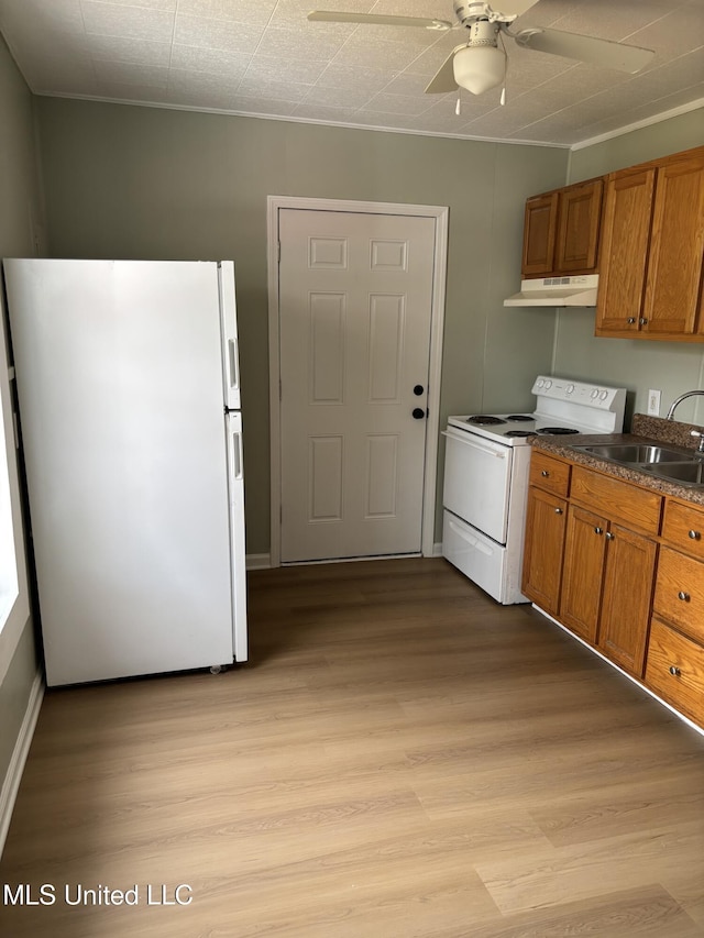 kitchen featuring ceiling fan, sink, white appliances, and light hardwood / wood-style floors