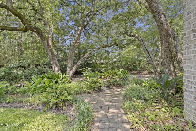 6416 Oliwa Pl, Diamondhead, MS 39525 - view of yard