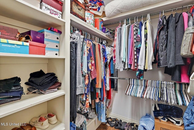 159 Stillhouse Creek Dr, Madison, MS 39110 - view of spacious closet