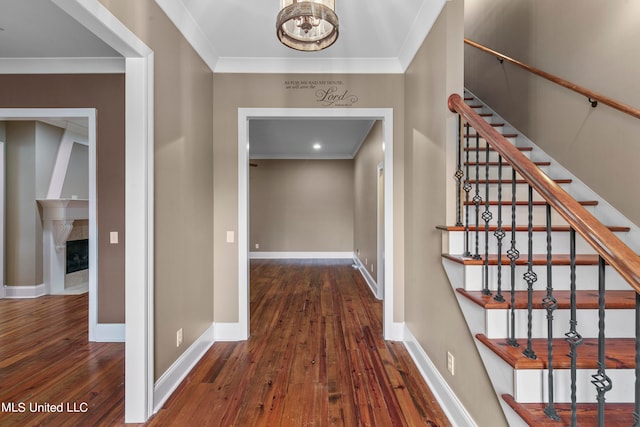 entrance foyer featuring dark wood-type flooring, ornamental molding, and a premium fireplace