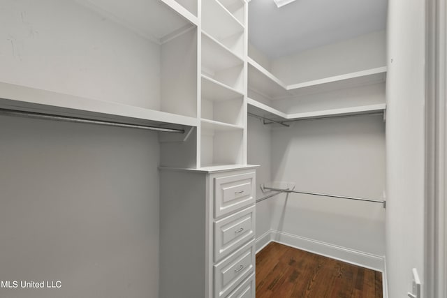 walk in closet with dark hardwood / wood-style flooring