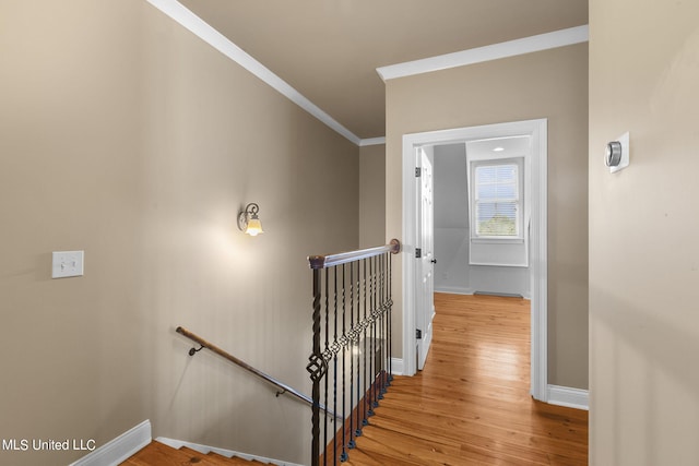 staircase featuring crown molding and hardwood / wood-style floors