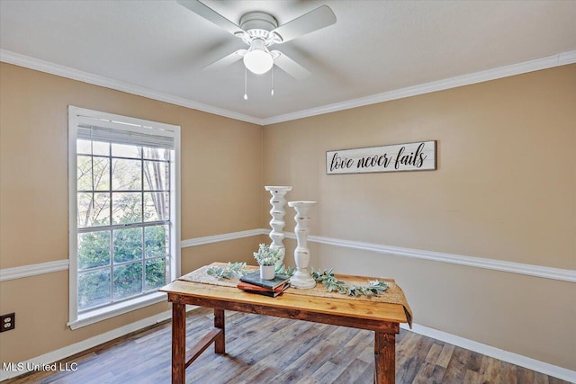 office space with crown molding, plenty of natural light, and wood finished floors