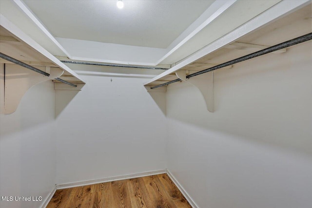 walk in closet with wood finished floors