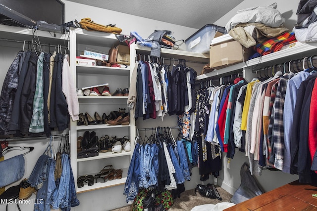 169 Beechwood Cir, Pearl, MS 39208 - walk in closet featuring carpet