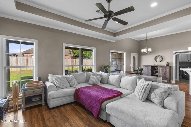 169 Beechwood Cir, Pearl, MS 39208 - living room featuring a raised ceiling, a chandelier, ornamental molding, ceiling fan, and dark wood-style flooring