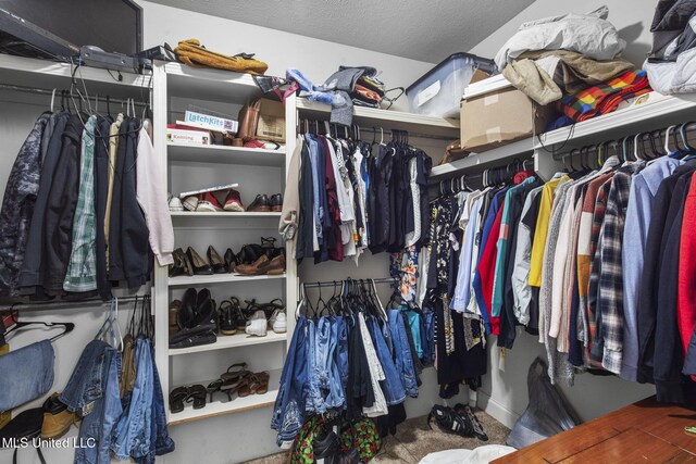 169 Beechwood Cir, Pearl, MS 39208 - view of walk in closet