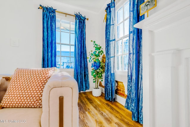 interior space with hardwood / wood-style floors and ornamental molding