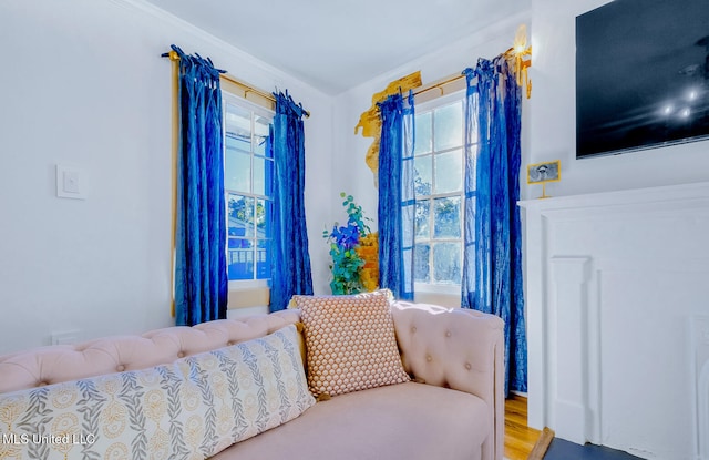 bedroom featuring wood-type flooring and crown molding